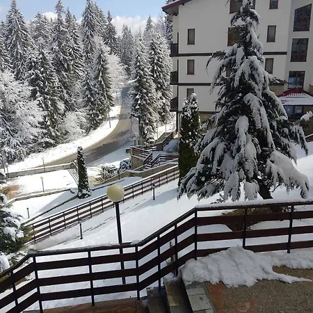 Near By Studenec-cedar Heights 1 Apartment *